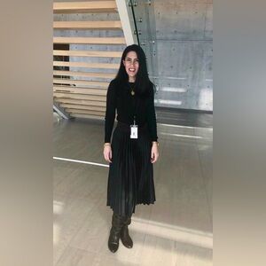 Banana Republic Black A-Line Pleated Skirt